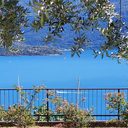 Casa Vacanze Perla Del Lago Domaso Exteriör bild