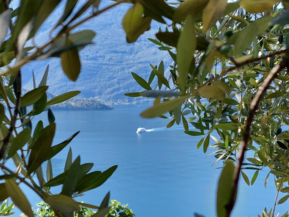 Casa Vacanze Perla Del Lago Domaso Exteriör bild