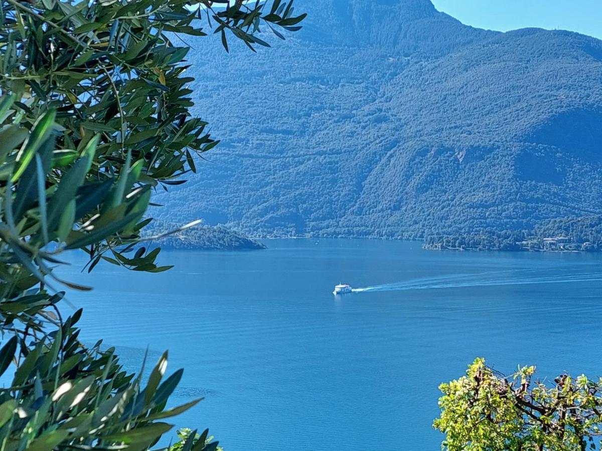 Casa Vacanze Perla Del Lago Domaso Exteriör bild