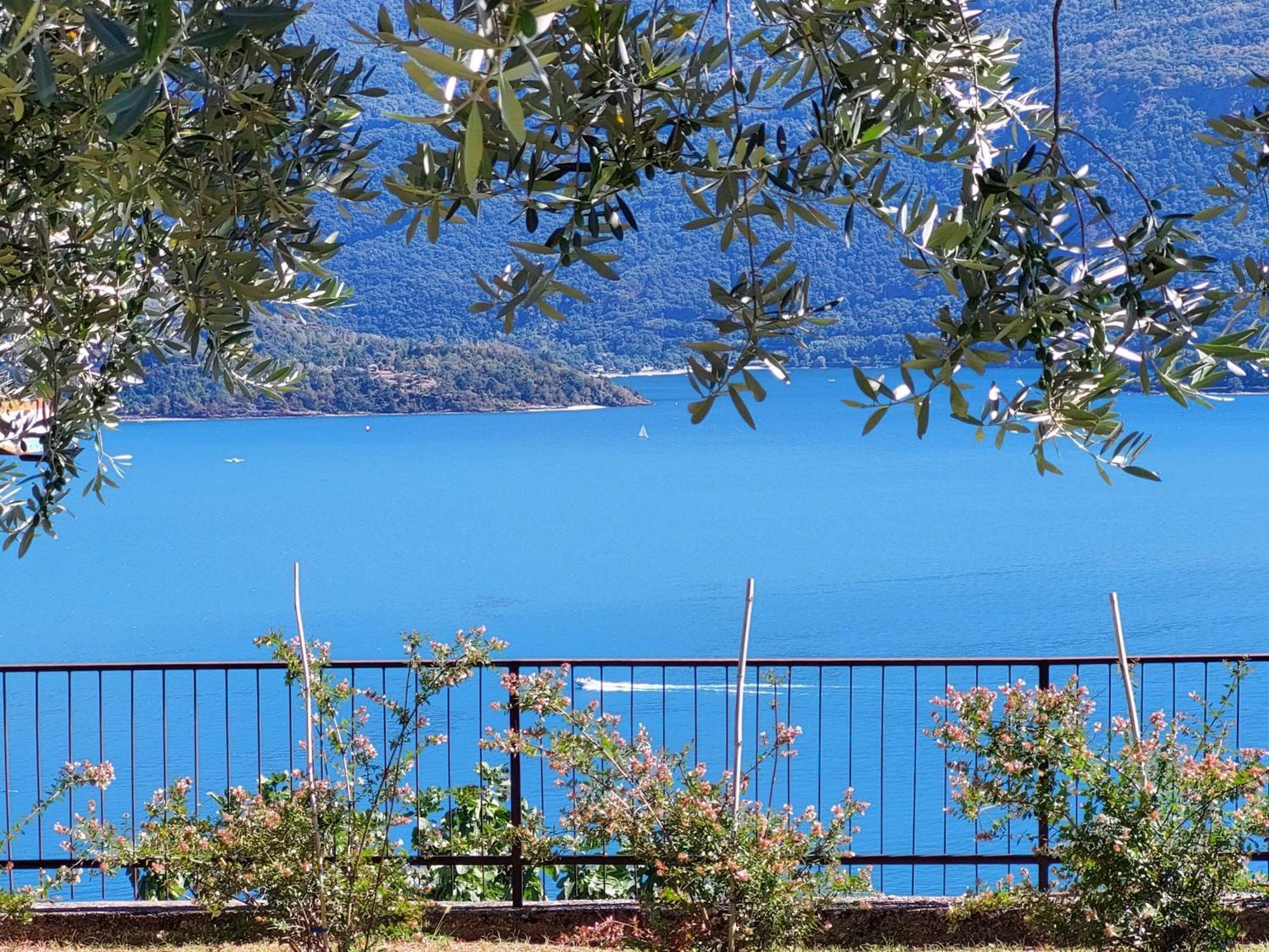 Casa Vacanze Perla Del Lago Domaso Exteriör bild