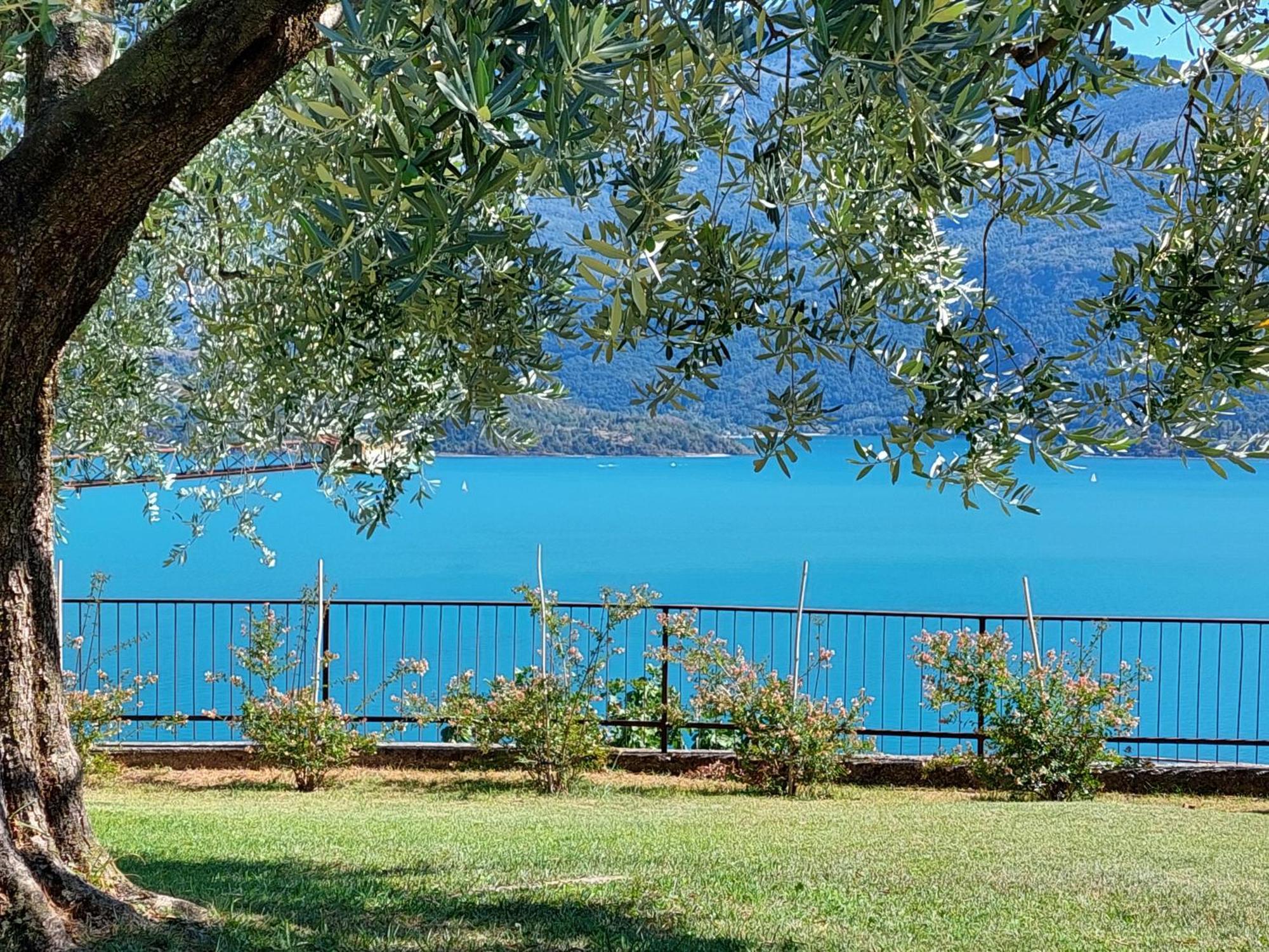 Casa Vacanze Perla Del Lago Domaso Exteriör bild